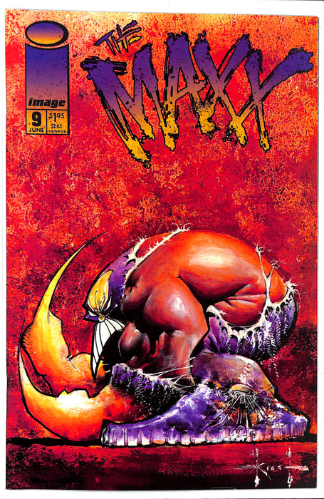 The Maxx #9