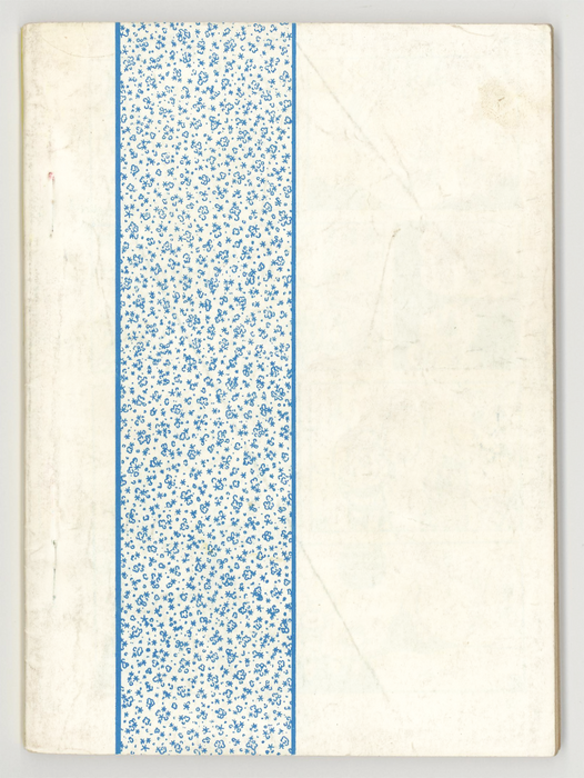 Pro Wrestling: Demon Mask